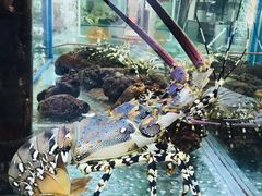 -寻味顺德·南记酒家·传统顺德菜·鱼生(广源路店)