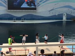 -北戴河圣蓝海洋公园