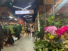 -大自然花鸟鱼虫市场
