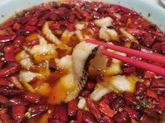 -孔雀云贵川·融合菜(长宁来福士店)