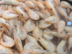 -灵福缘私房菜·农家菜(拈花湾·灵山大佛必推店)