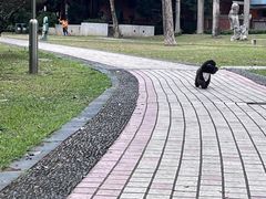 -垂虹公园