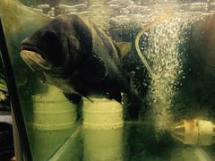 -聪辉同安老美食饭店(大元路店)