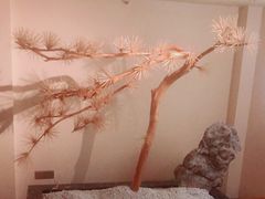 -春熙台韩国料理·章鱼肥牛(西丽店)