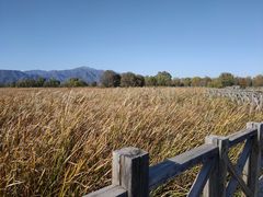 -野鸭湖国家湿地公园