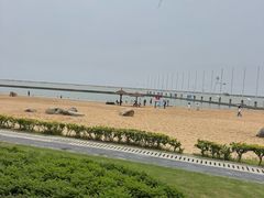 -碧海金沙