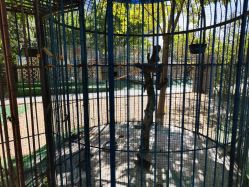 -萌宠亲子动物乐园(槐房万达店)