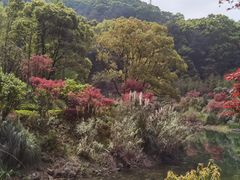 -缙云山景区