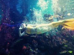 -荣誉国际酒店-海鲜自助餐厅(迎宾大道店)