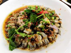 豉汁盘龙鳝-轩记海鲜餐厅·四十五年老字号·经典粤菜(西区彩虹店)