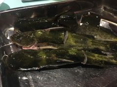 -新凯里酸汤鱼(飞山街店)
