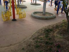 -大兴滨河森林公园