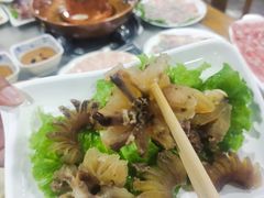 -马记伊源斋涮肉·清真菜(百子湾店)