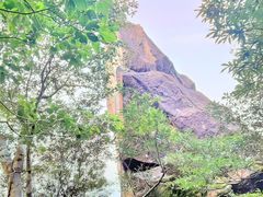 -象头山国家级自然保护区