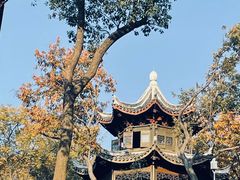 -上海市保健医疗中心