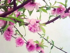 iphone_upload_pic-乌山风景区
