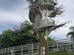 -芒洲湿地公园