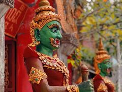 -西双版纳傣族园