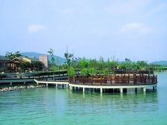 -新木器时代餐厅(太湖新天地店)