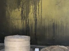 -Mr.Fox狐狸先生超级密室(南山店)