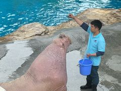 -海合安成都极地海洋公园