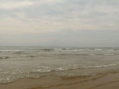 android_upload_pic-青岛西海岸隆和福朋喜来登酒店