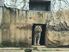 -黔灵山公园