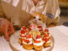 -BE BRIGHT KITCHEN(正佳广场店)