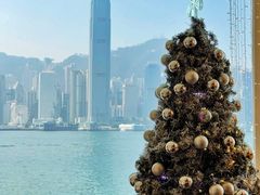 -海港城