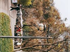 -塔子山公园