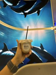 -海菲秀·飞顿牛奶光·LDM官方授权中心美轮美浣瓷感美肌