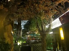 -云境生态园(红谷滩店)