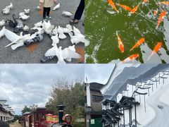 -溪口-滕头旅游景区