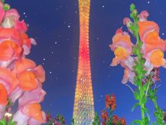 -海心沙亚运公园