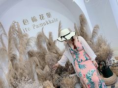 -南桂路(地铁站)