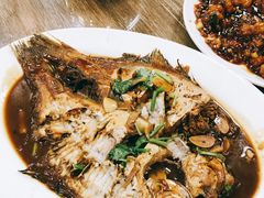 -林之六八·6886大连老菜馆