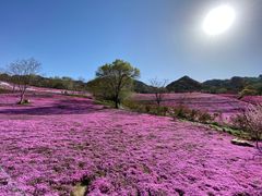 -昆嵛山石门里景区
