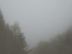 -山王坪喀斯特国家生态公园