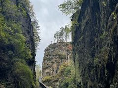 -茅兰沟国家森林公园