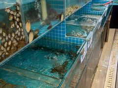 -鑫渔港海鲜本地菜·山海关浑锅(东戴河店)
