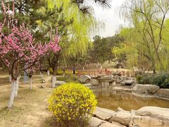 -鹦鹉寺公园