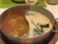 -洪氏嗨捞·猪肚鸡火锅(阳光天地店)