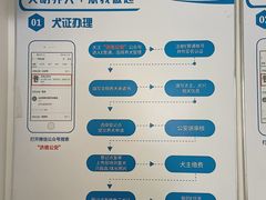 -瑞派雷欧宠物医院·24h夜诊·心脏骨科牙科·全科重症转诊中心(无影山店)