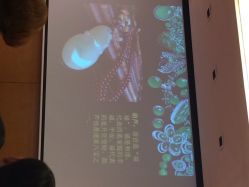 北京七彩云南翡翠珠宝旗舰店（月坛店）-北京七彩云南翡翠珠宝旗舰店(月坛店)