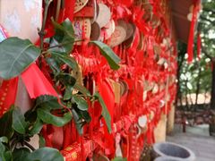 -东莞观音山旅游风景区