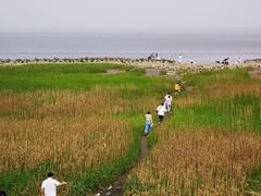 -南汇嘴观海公园