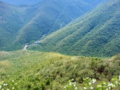 -加顺农场餐厅