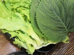 -大派屋(桂林路店)