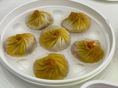 -苏小柳点心·手作小笼包(浦东嘉里城分院)