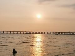 -宝安西湾红树林湿地公园